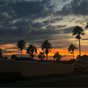 Meet your Posher, Iris